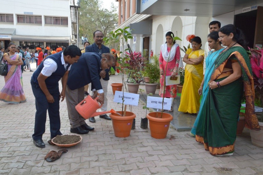 Literature tree plantation