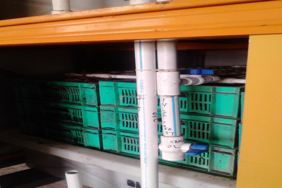 deogiri geology gallery 16