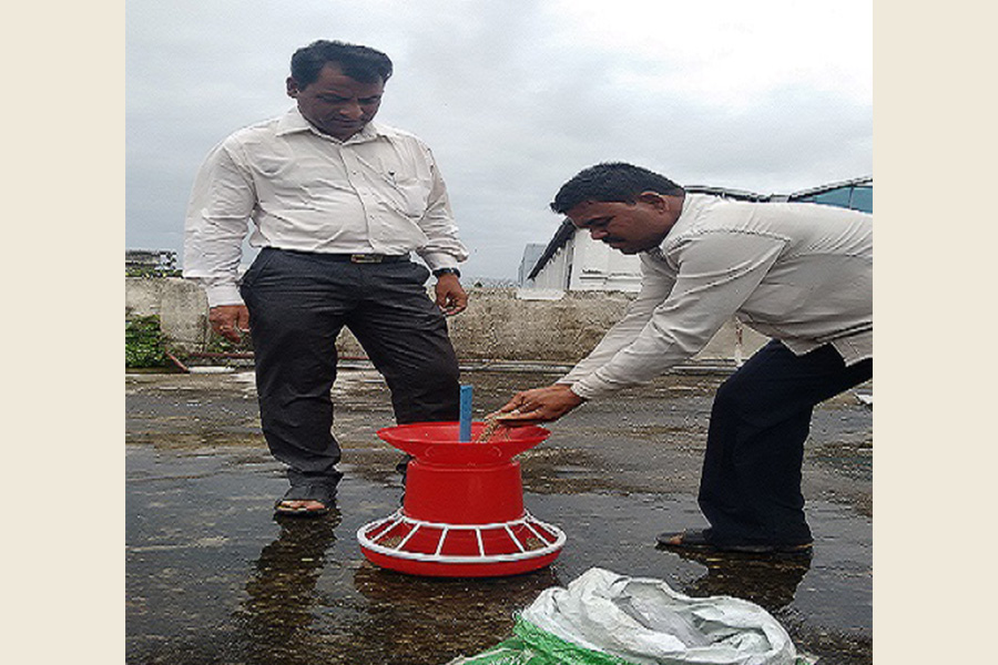 Feeder pots for Birds in College Campus