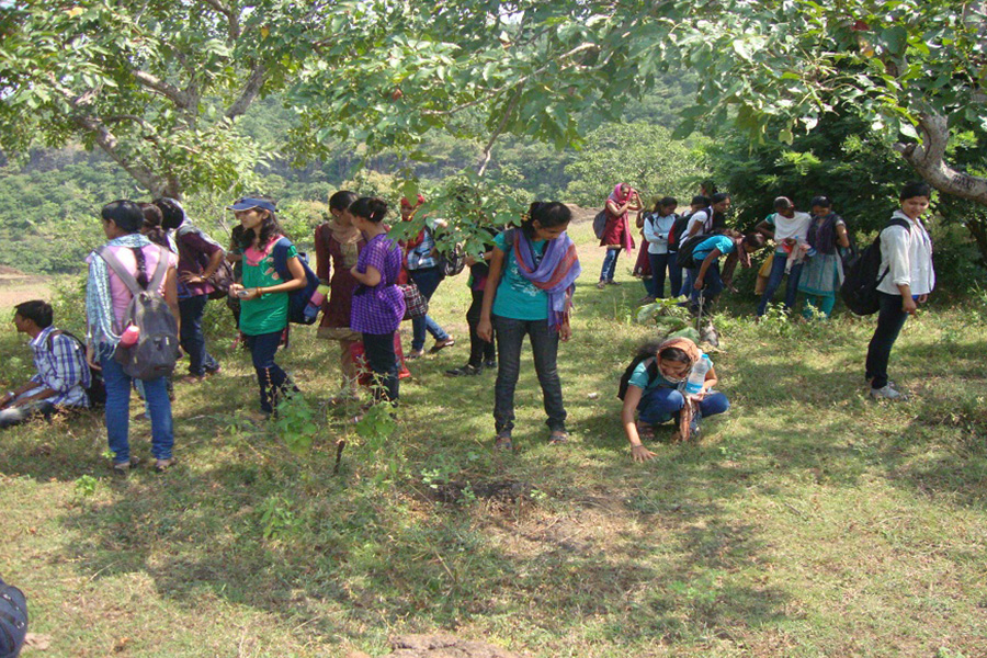 On Field Sample Collection