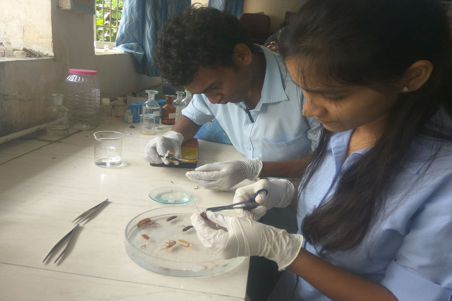Practical Session in Departmental Laboratory