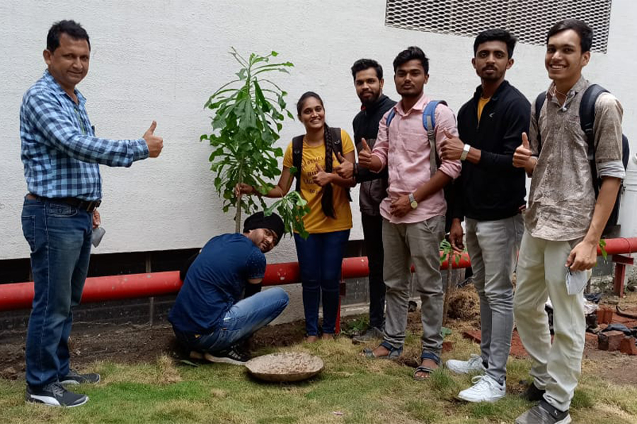 Students invovement in Plantations