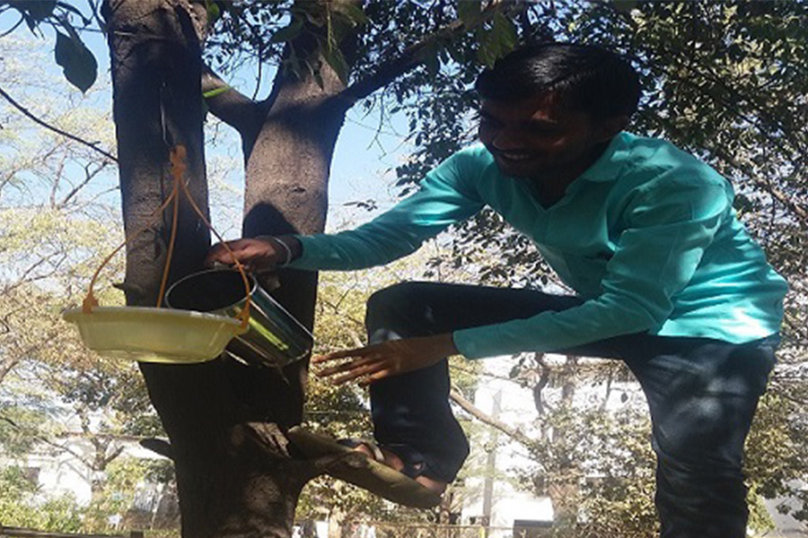 Water pot for birds in College Campus